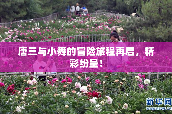 唐三与小舞的冒险旅程再启，精彩纷呈！