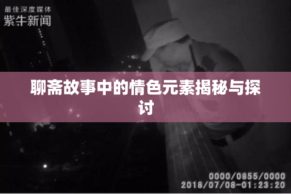聊斋故事中的情色元素揭秘与探讨