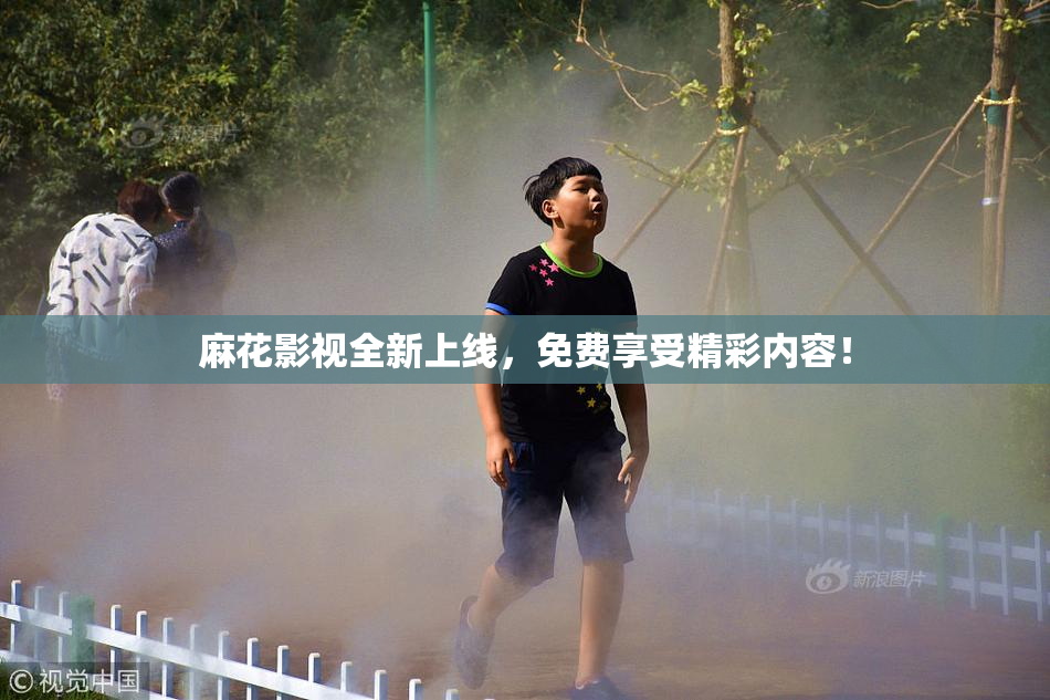 麻花影视全新上线，免费享受精彩内容！