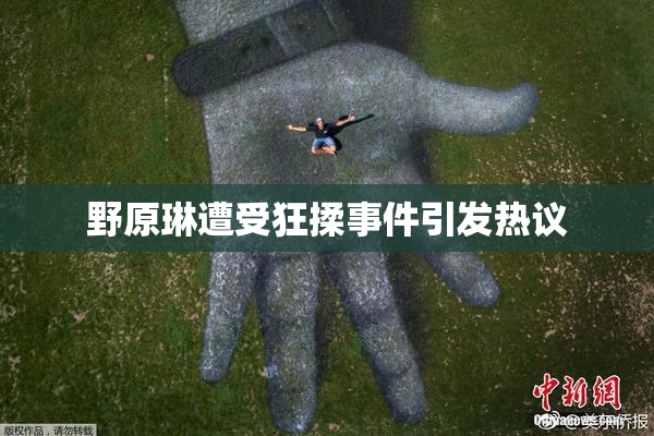 野原琳遭受狂揉事件引发热议