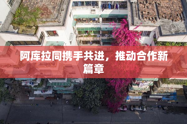 阿库拉同携手共进，推动合作新篇章