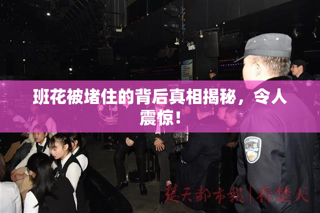 班花被堵住的背后真相揭秘，令人震惊！