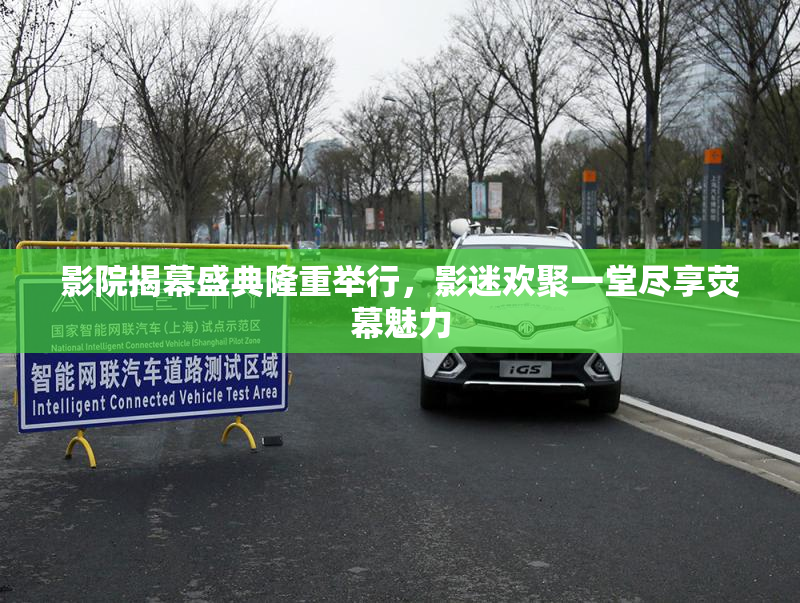 影院揭幕盛典隆重举行，影迷欢聚一堂尽享荧幕魅力