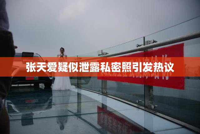 张天爱疑似泄露私密照引发热议