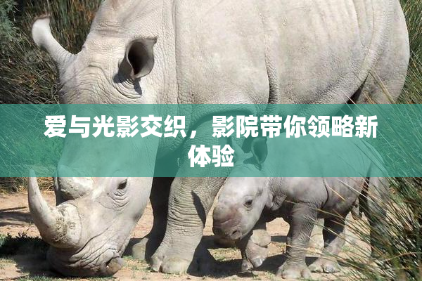 爱与光影交织，影院带你领略新体验