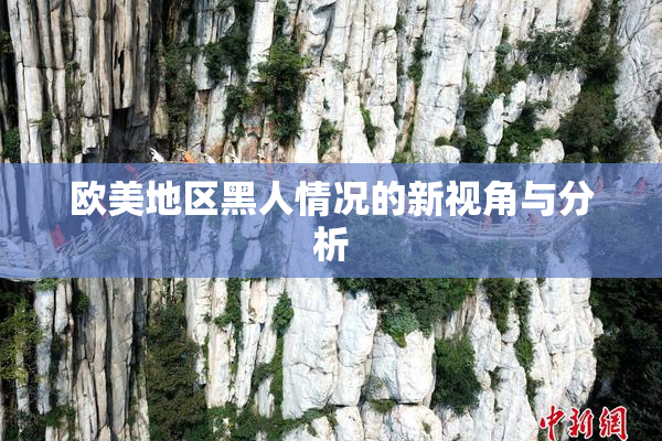 欧美地区黑人情况的新视角与分析