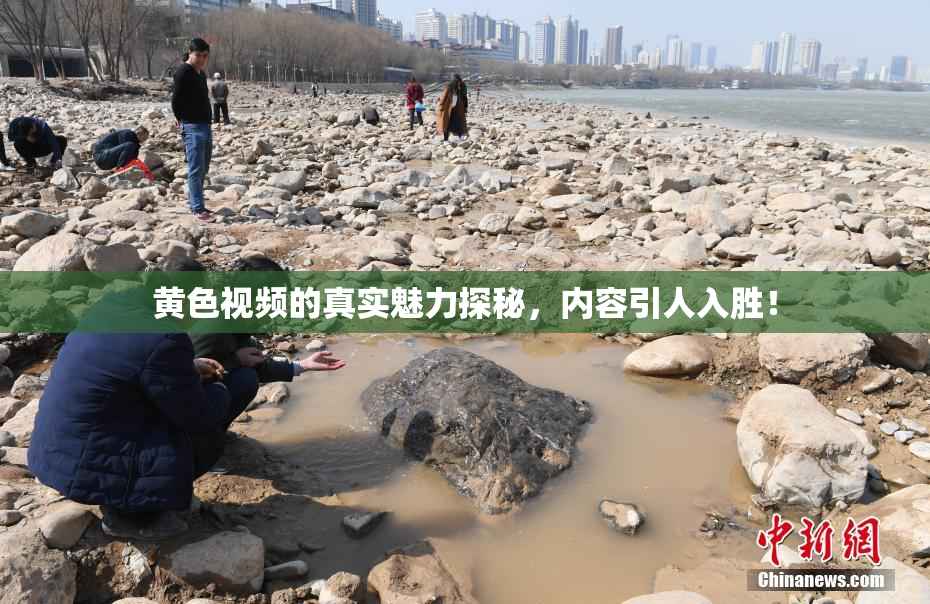 黄色视频的真实魅力探秘，内容引人入胜！