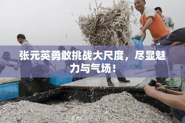 张元英勇敢挑战大尺度，尽显魅力与气场！