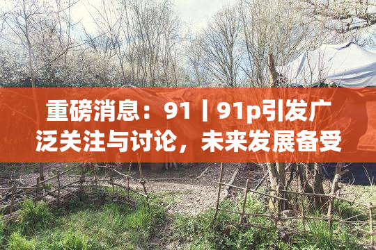 重磅消息：91丨91p引发广泛关注与讨论，未来发展备受期待