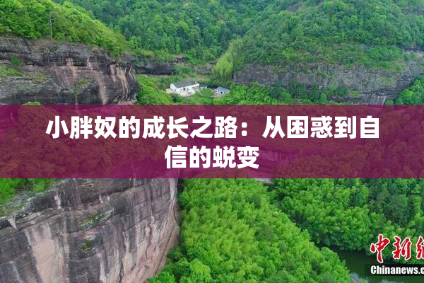 小胖奴的成长之路：从困惑到自信的蜕变