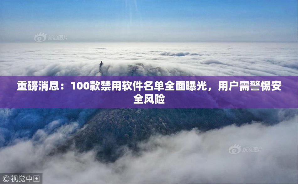 重磅消息：100款禁用软件名单全面曝光，用户需警惕安全风险