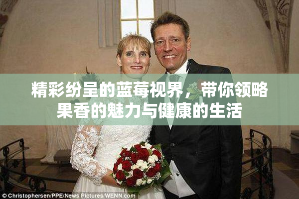 精彩纷呈的蓝莓视界，带你领略果香的魅力与健康的生活