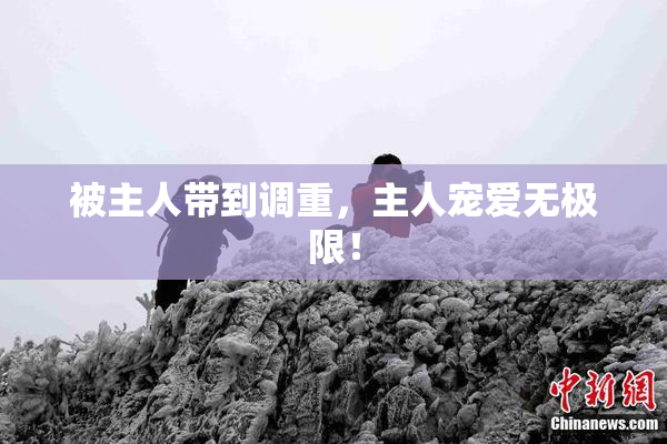 被主人带到调重，主人宠爱无极限！