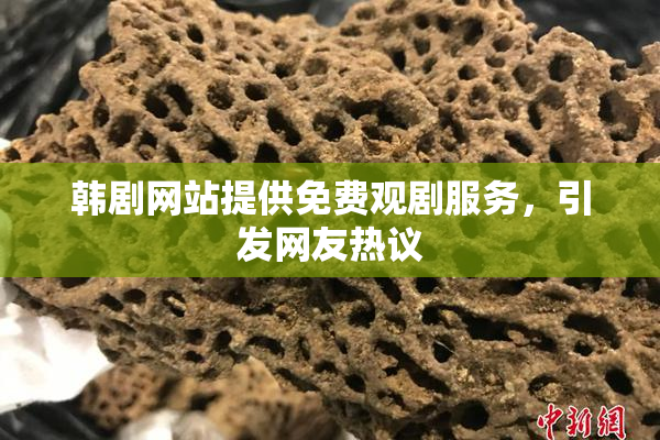 韩剧网站提供免费观剧服务，引发网友热议