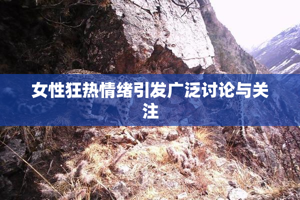 女性狂热情绪引发广泛讨论与关注