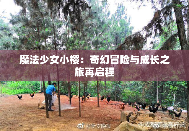 魔法少女小樱：奇幻冒险与成长之旅再启程