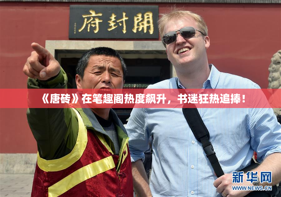 《唐砖》在笔趣阁热度飙升，书迷狂热追捧！
