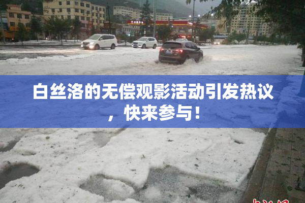 白丝洛的无偿观影活动引发热议，快来参与！