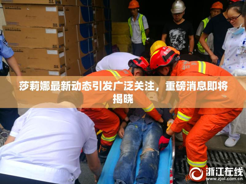莎莉娜最新动态引发广泛关注，重磅消息即将揭晓