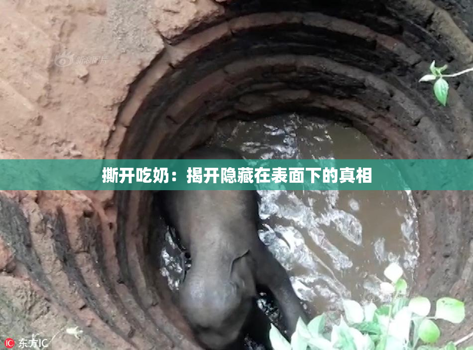 撕开吃奶：揭开隐藏在表面下的真相