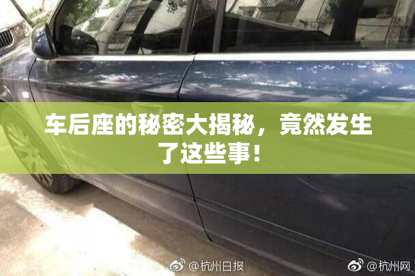 车后座的秘密大揭秘，竟然发生了这些事！