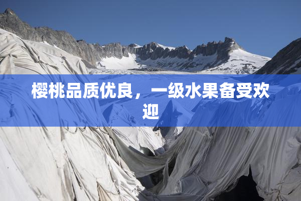 樱桃品质优良，一级水果备受欢迎