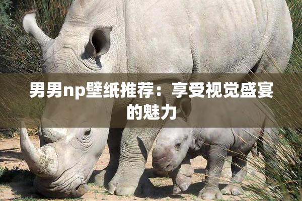 男男np壁纸推荐：享受视觉盛宴的魅力