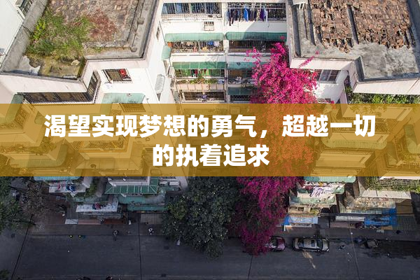 渴望实现梦想的勇气，超越一切的执着追求