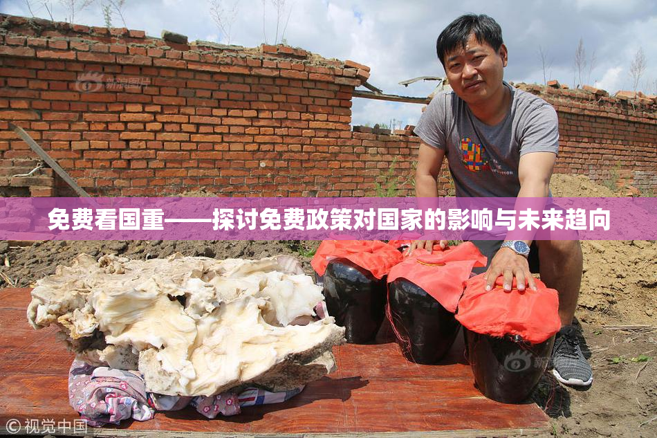 免费看国重——探讨免费政策对国家的影响与未来趋向