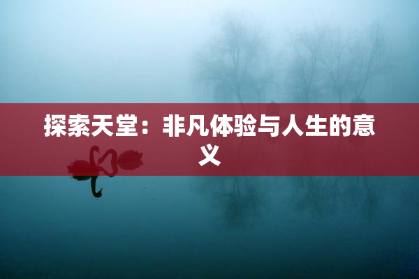 探索天堂：非凡体验与人生的意义