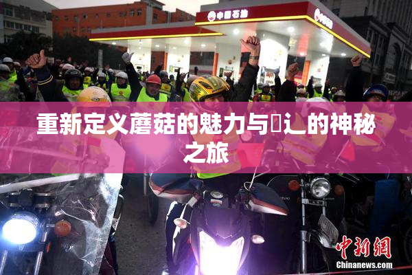 重新定义蘑菇的魅力与喿辶的神秘之旅