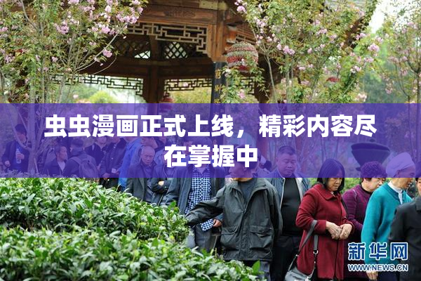 虫虫漫画正式上线，精彩内容尽在掌握中