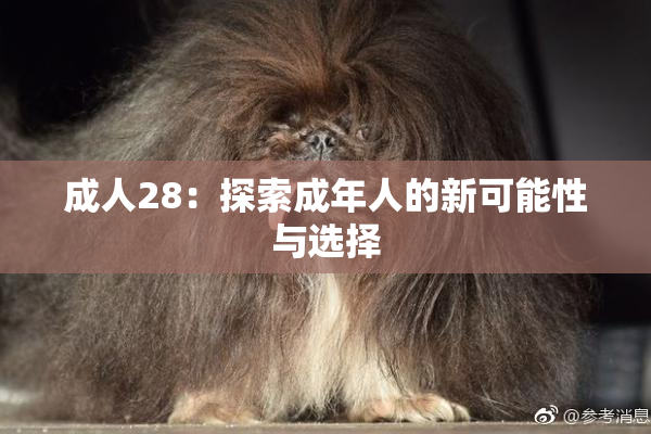 成人28：探索成年人的新可能性与选择