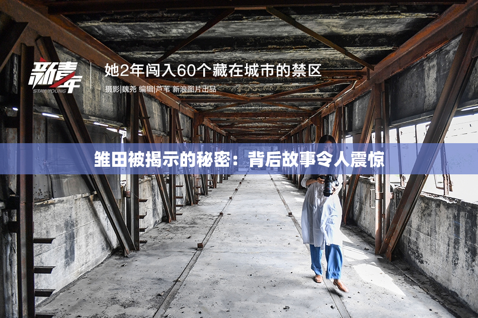雏田被揭示的秘密：背后故事令人震惊