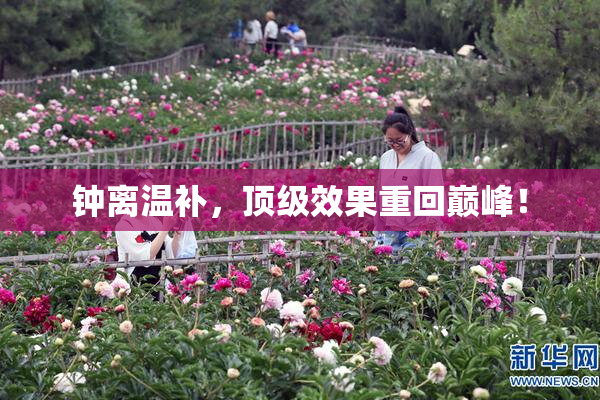 钟离温补，顶级效果重回巅峰！
