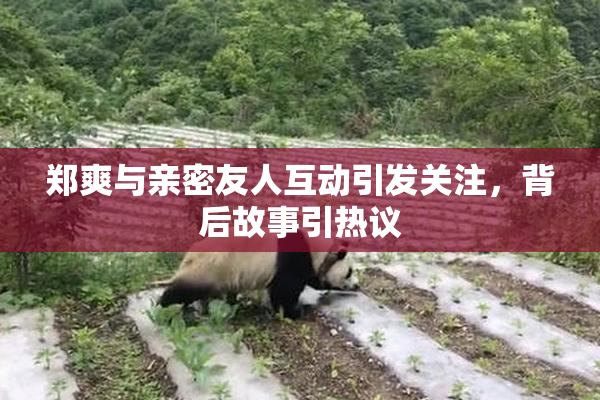 郑爽与亲密友人互动引发关注，背后故事引热议