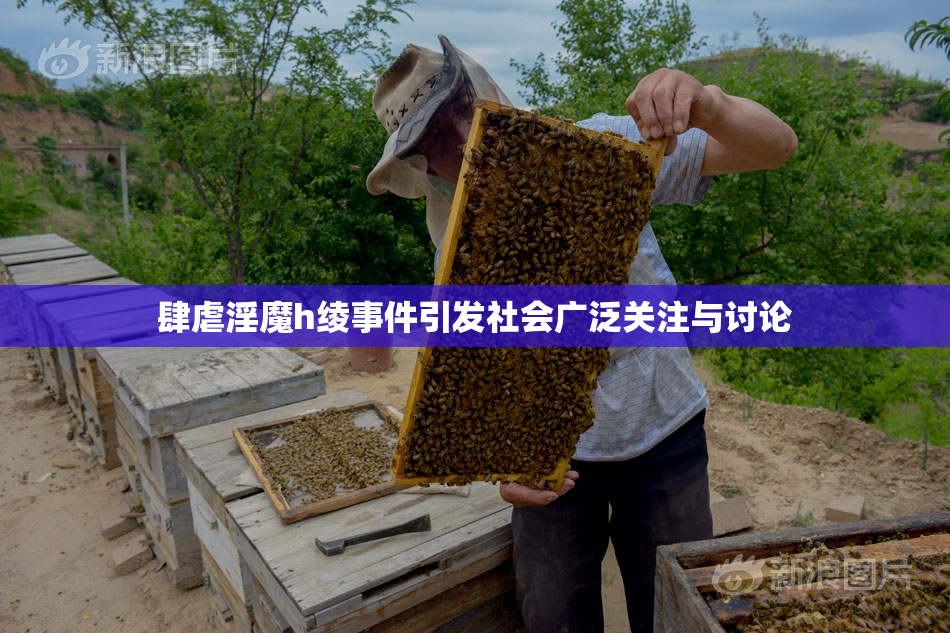 肆虐淫魔h绫事件引发社会广泛关注与讨论
