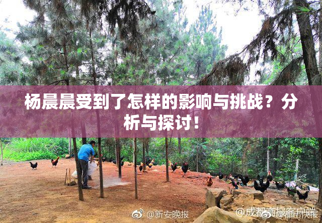 杨晨晨受到了怎样的影响与挑战？分析与探讨！