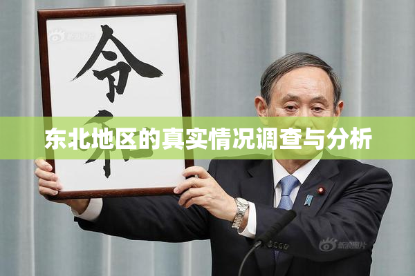 东北地区的真实情况调查与分析