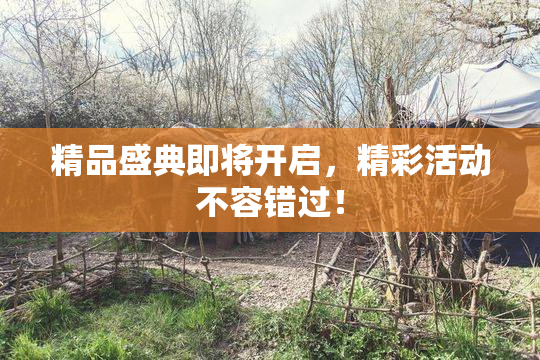 精品盛典即将开启，精彩活动不容错过！