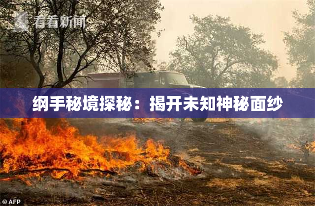 纲手秘境探秘：揭开未知神秘面纱