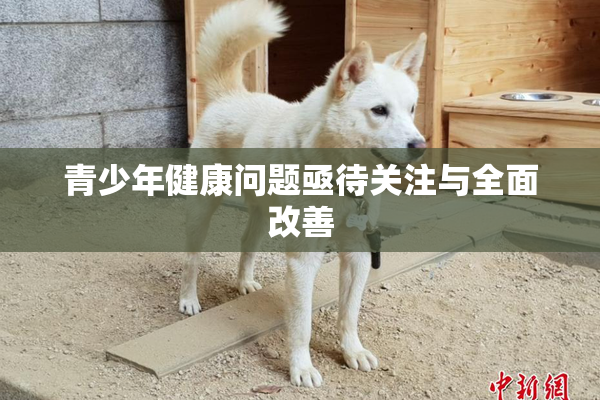 青少年健康问题亟待关注与全面改善