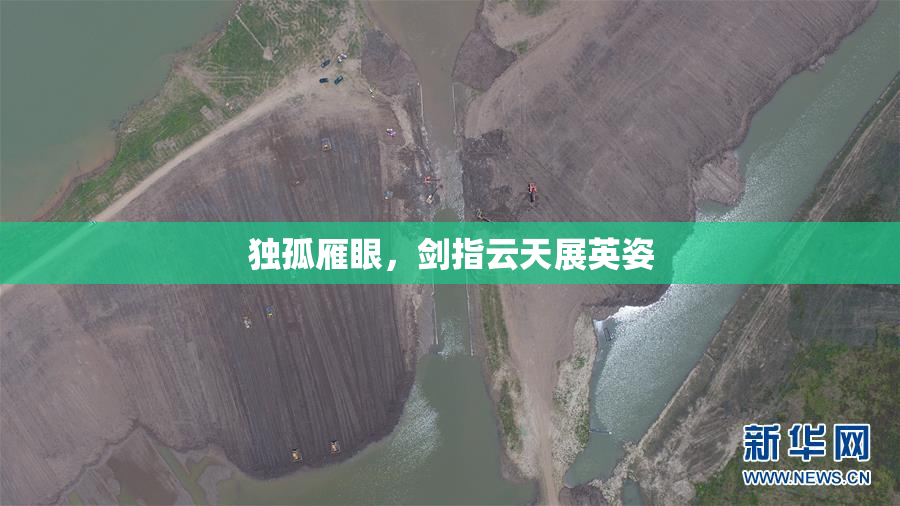 独孤雁眼，剑指云天展英姿