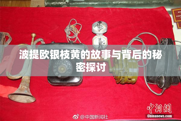 波提欧银枝黄的故事与背后的秘密探讨