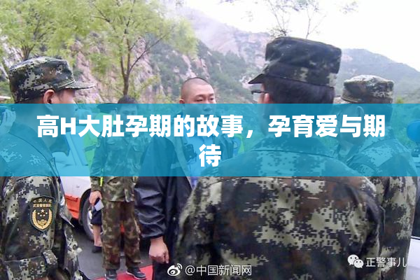 高H大肚孕期的故事，孕育爱与期待