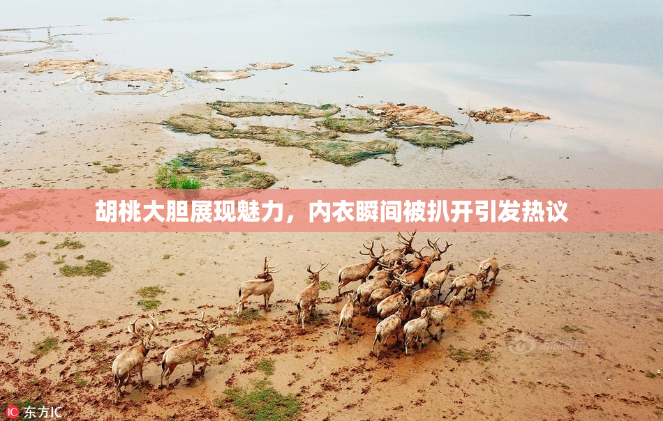 胡桃大胆展现魅力，内衣瞬间被扒开引发热议