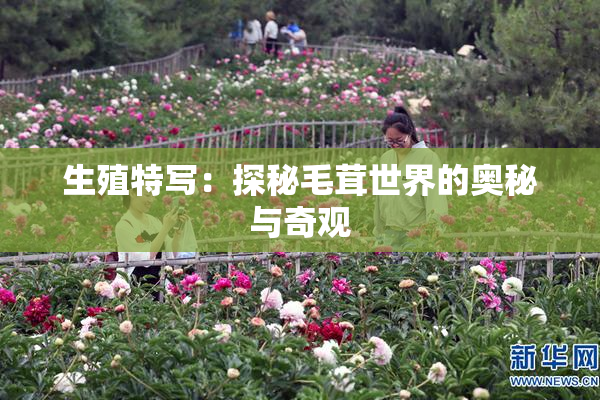 生殖特写：探秘毛茸世界的奥秘与奇观