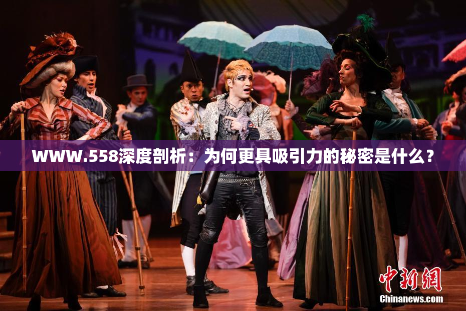 WWW.558深度剖析：为何更具吸引力的秘密是什么？