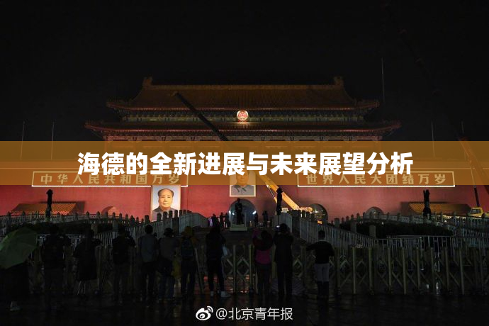 海德的全新进展与未来展望分析