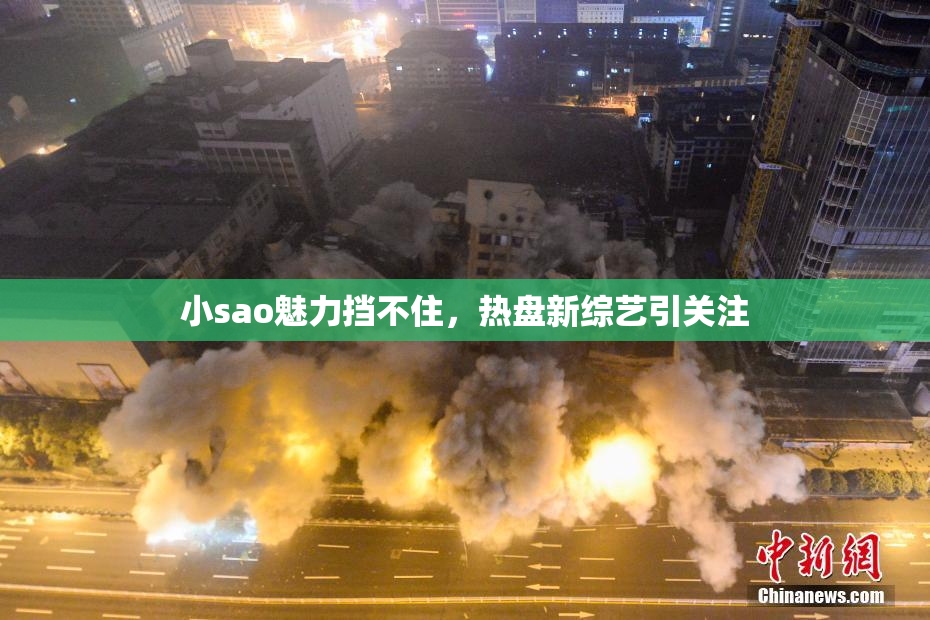 小sao魅力挡不住，热盘新综艺引关注